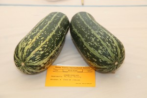 Class 14: 2 Marrows