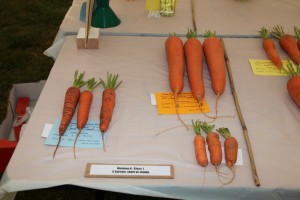 Class 1 - 3 carrots