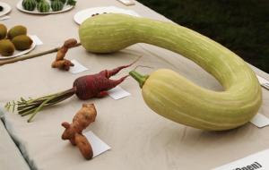 Mis-shapen veggies