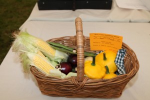 Class 28: Collection of 5 different Vegetables