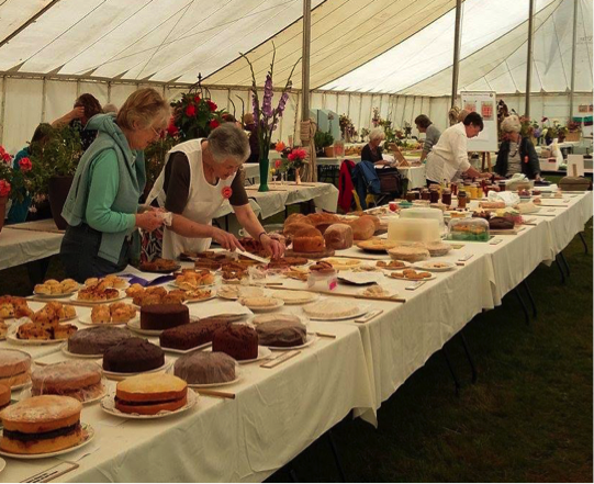 Judging taking place at the Bovey Tracey Horticultural Society 2017 Summer Show