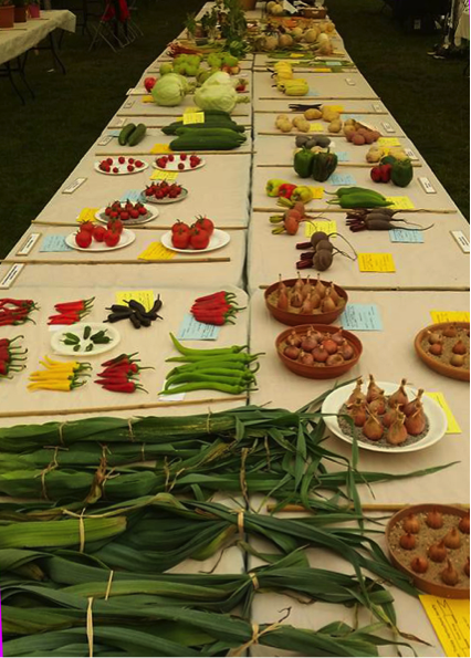 A fabulous variety of entries at the Bovey Tracey Horticultural Society 2017 Summer Show